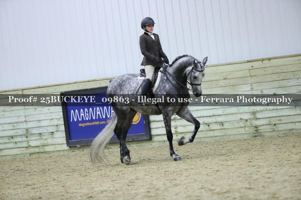 Proof Number 25BUCKEYE_09863