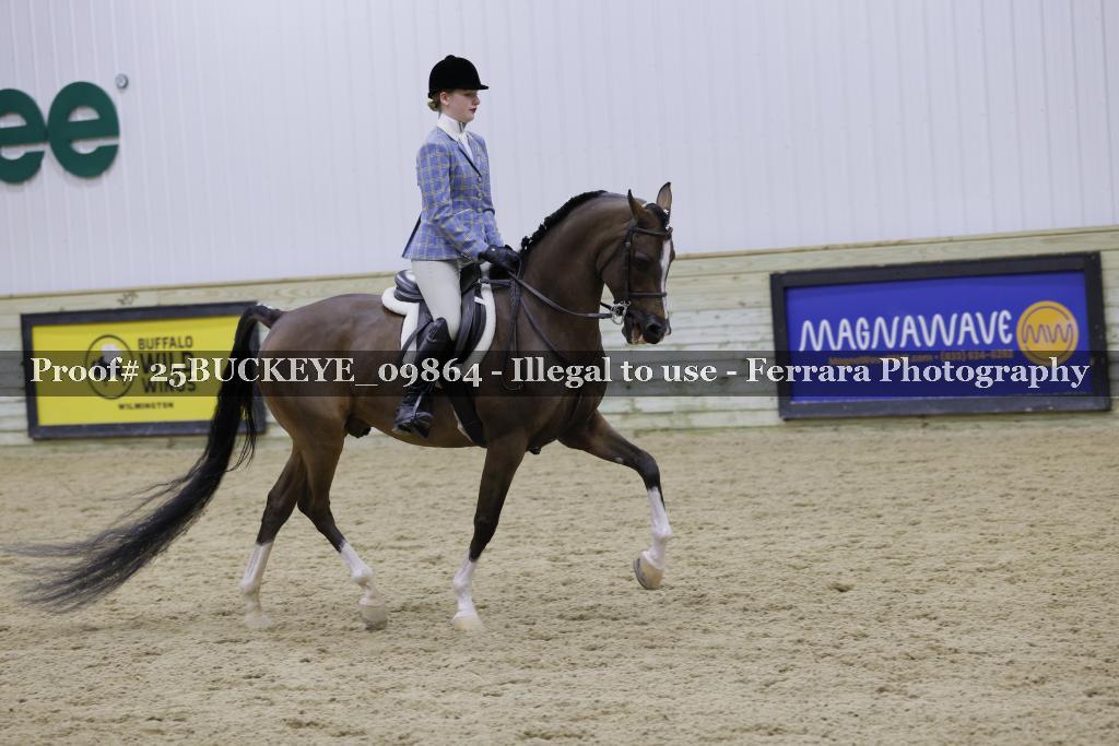 Proof Number 25BUCKEYE_09864