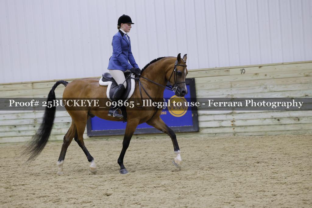 Proof Number 25BUCKEYE_09865