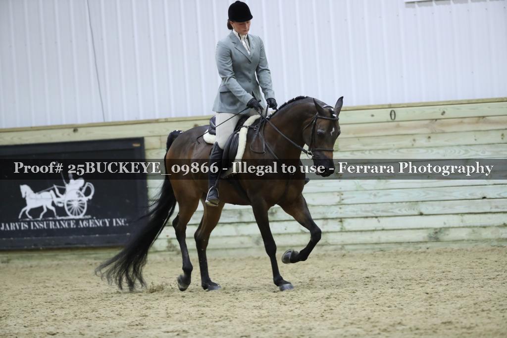Proof Number 25BUCKEYE_09866