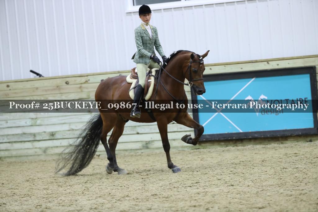 Proof Number 25BUCKEYE_09867