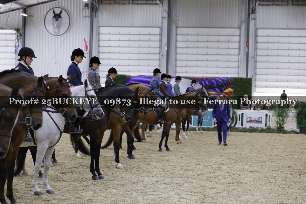 Proof Number 25BUCKEYE_09873