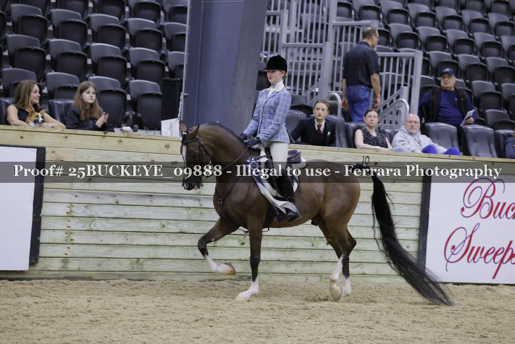 Proof Number 25BUCKEYE_09888