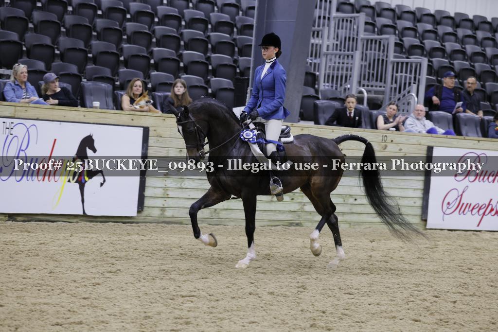 Proof Number 25BUCKEYE_09893