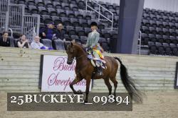 25BUCKEYE_09894 thumbnail