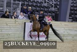25BUCKEYE_09910 thumbnail