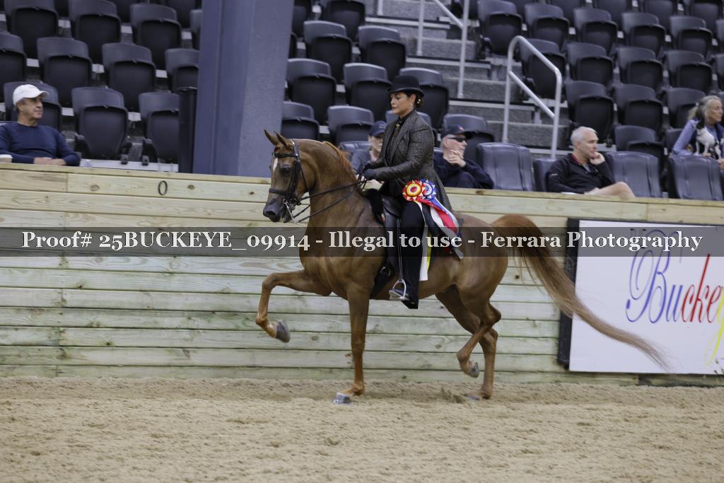 Proof Number 25BUCKEYE_09914