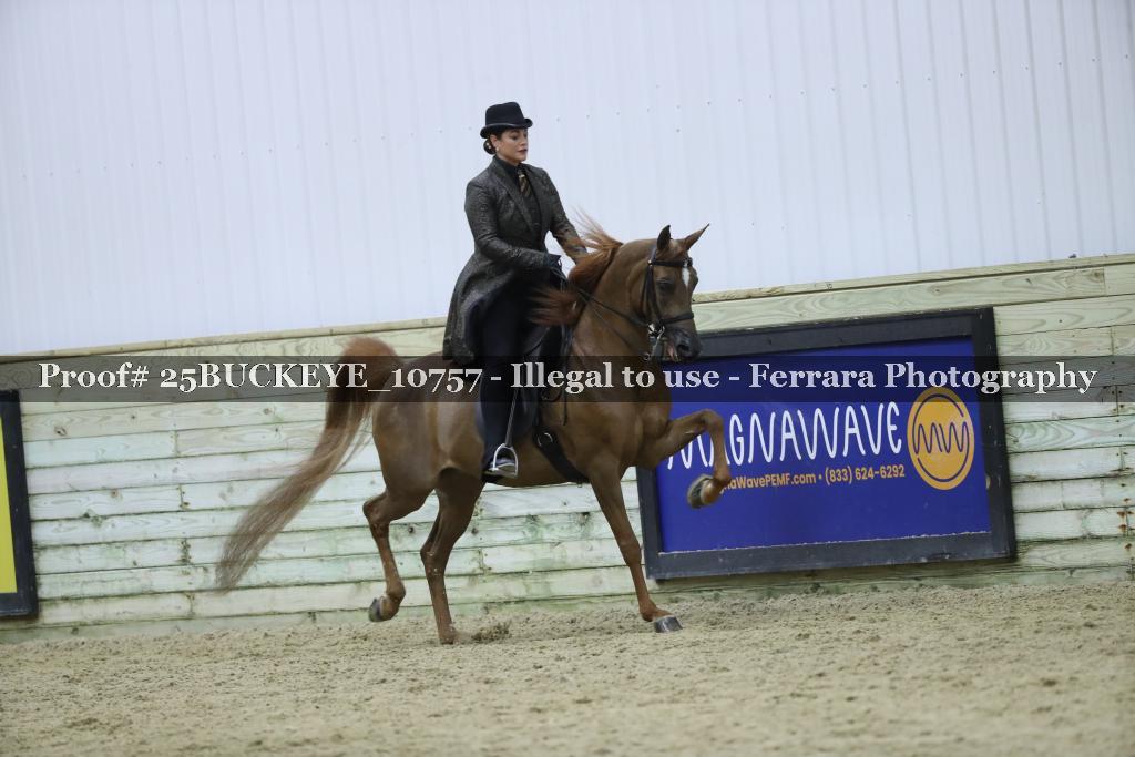 Proof Number 25BUCKEYE_10757