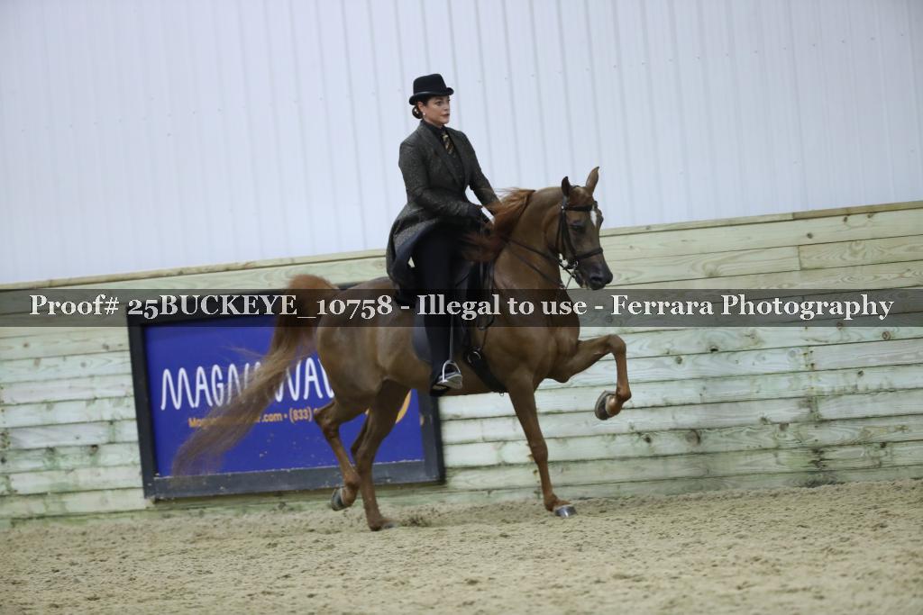 Proof Number 25BUCKEYE_10758