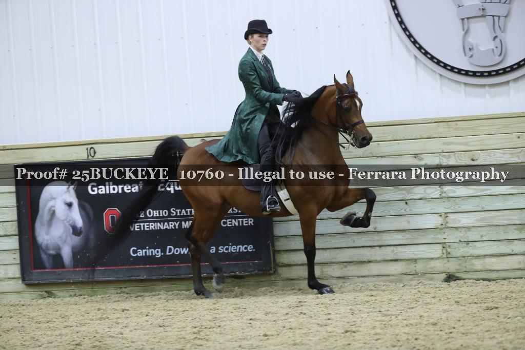 Proof Number 25BUCKEYE_10760