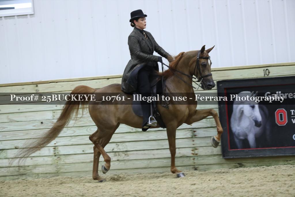 Proof Number 25BUCKEYE_10761