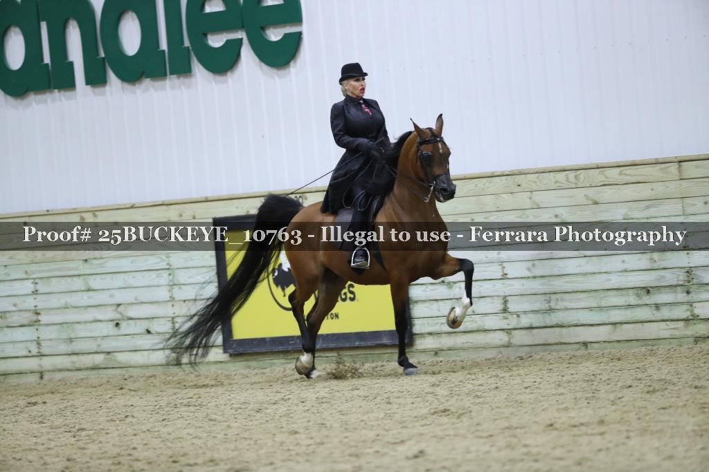 Proof Number 25BUCKEYE_10763