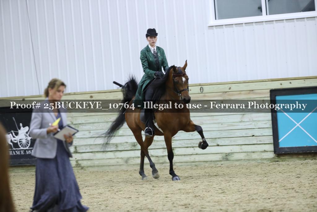 Proof Number 25BUCKEYE_10764
