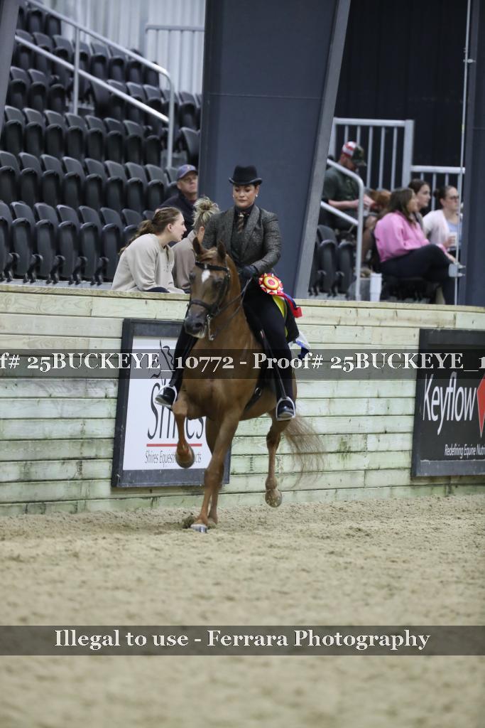 Proof Number 25BUCKEYE_10772