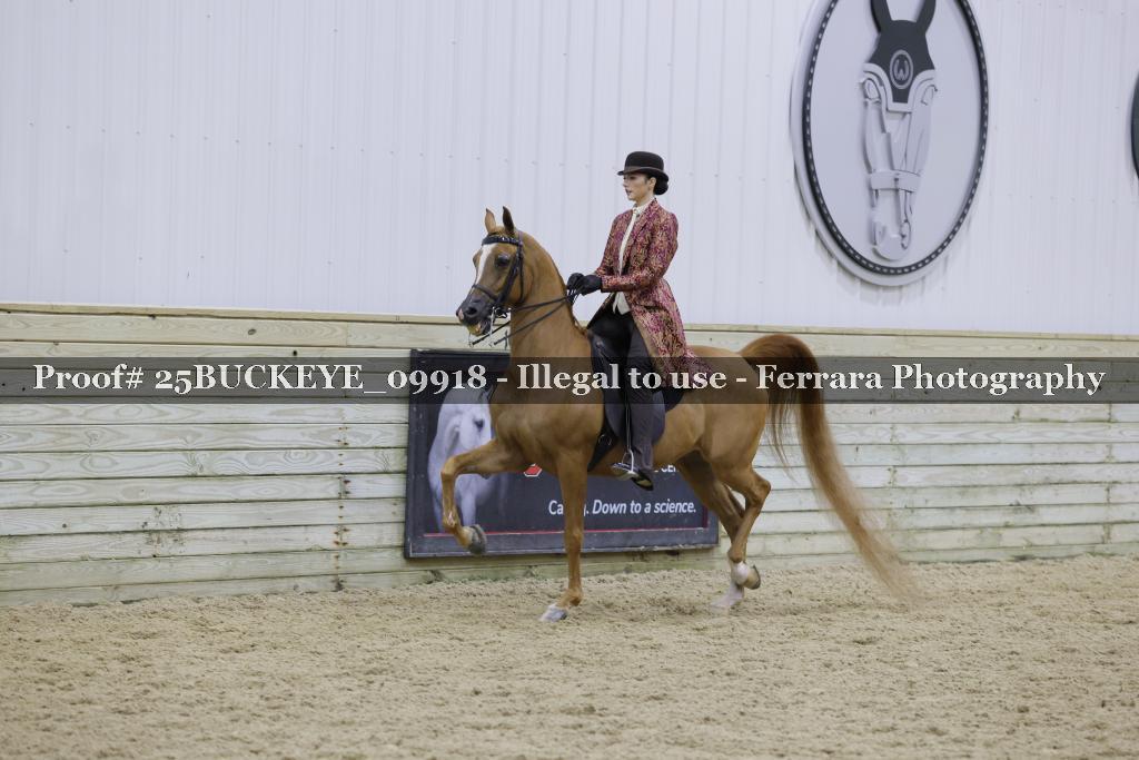 Proof Number 25BUCKEYE_09918