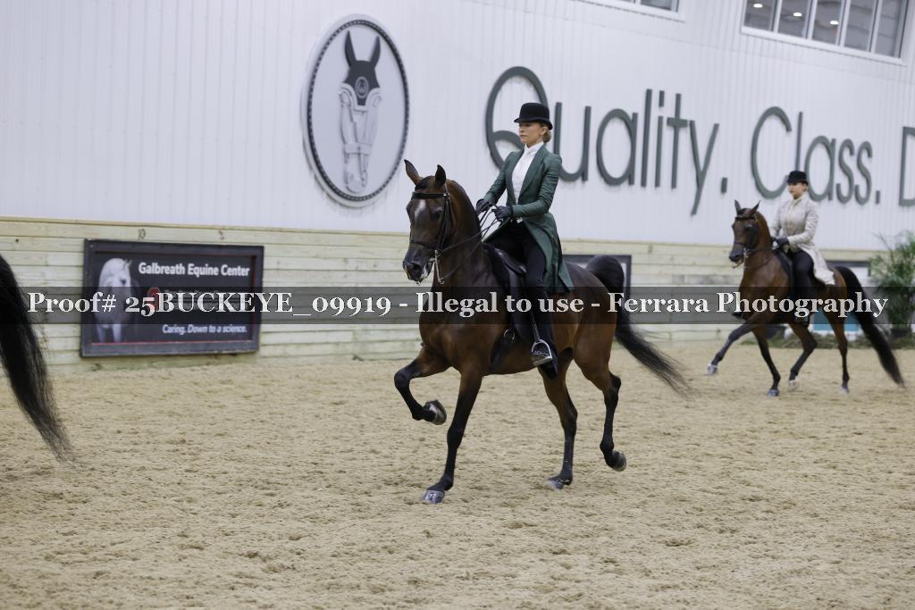 Proof Number 25BUCKEYE_09919