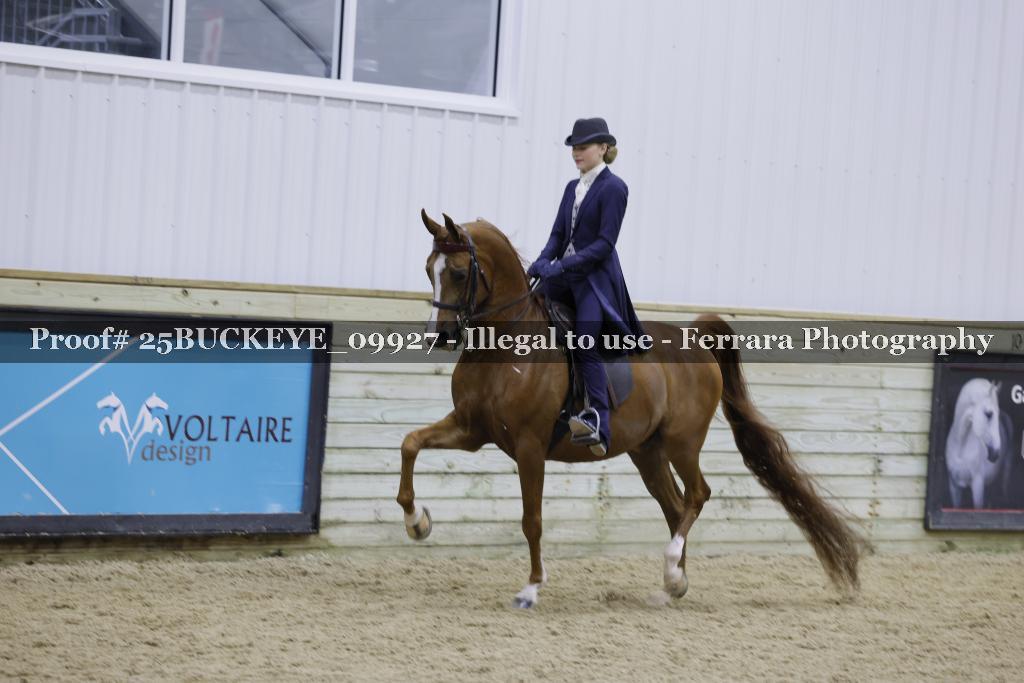 Proof Number 25BUCKEYE_09927