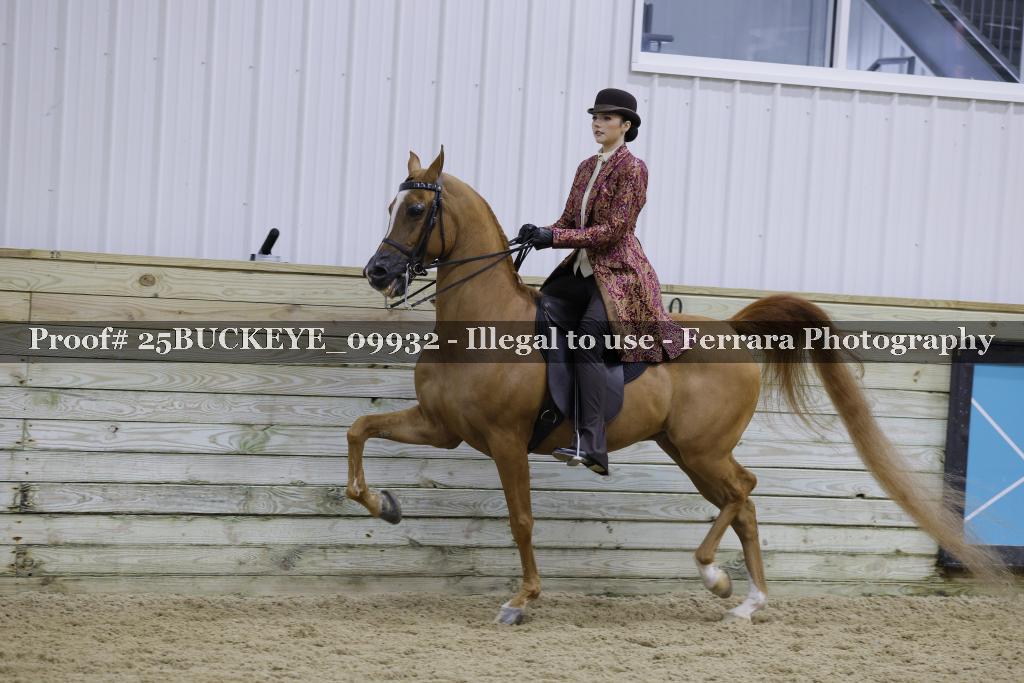 Proof Number 25BUCKEYE_09932