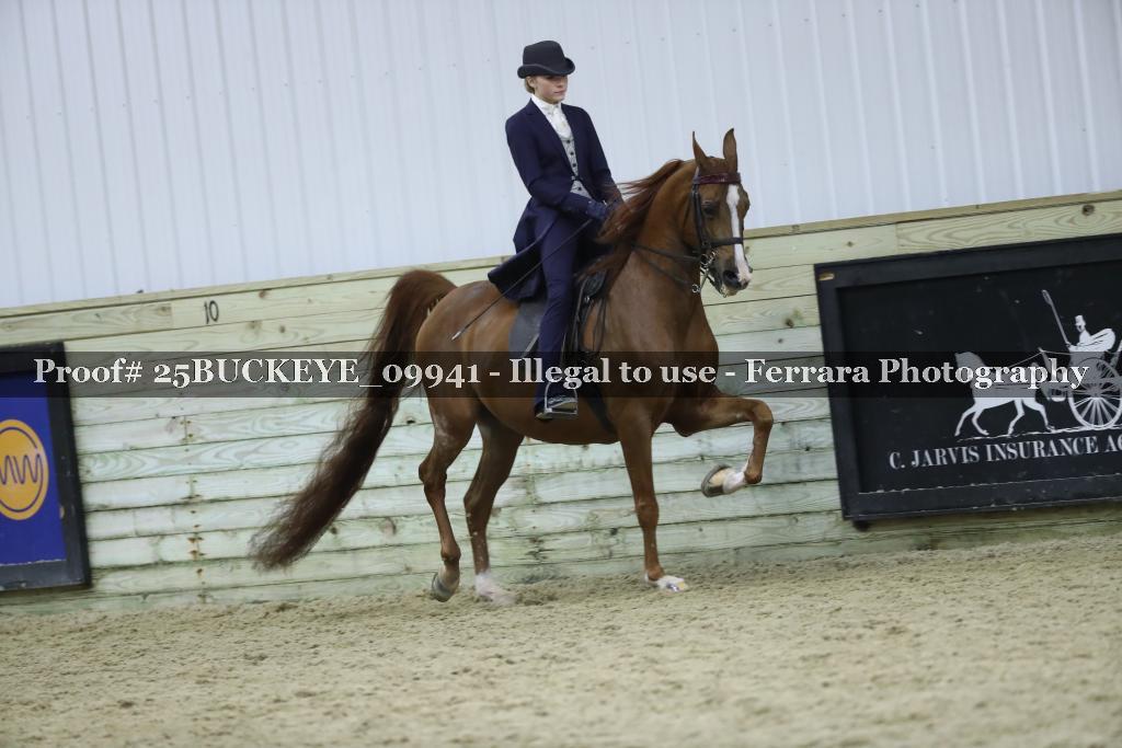 Proof Number 25BUCKEYE_09941
