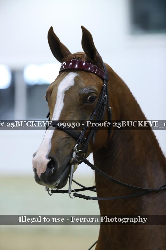 Proof Number 25BUCKEYE_09950