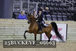 25BUCKEYE_09963 thumbnail