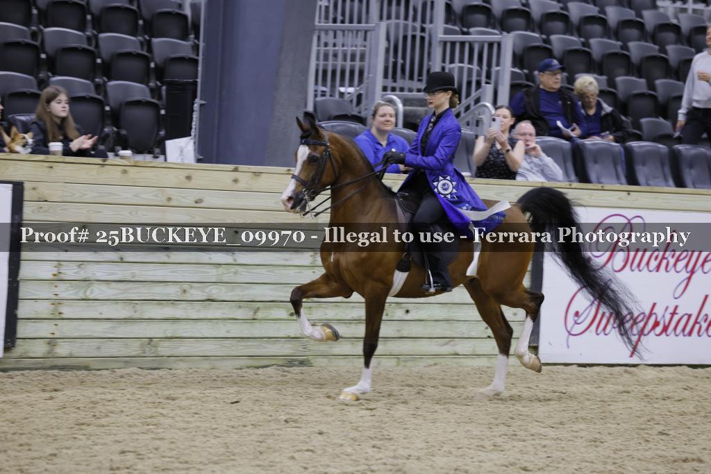 Proof Number 25BUCKEYE_09970
