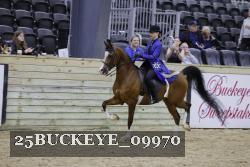 25BUCKEYE_09970 thumbnail