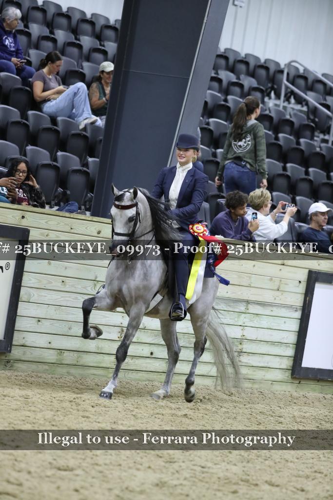 Proof Number 25BUCKEYE_09973