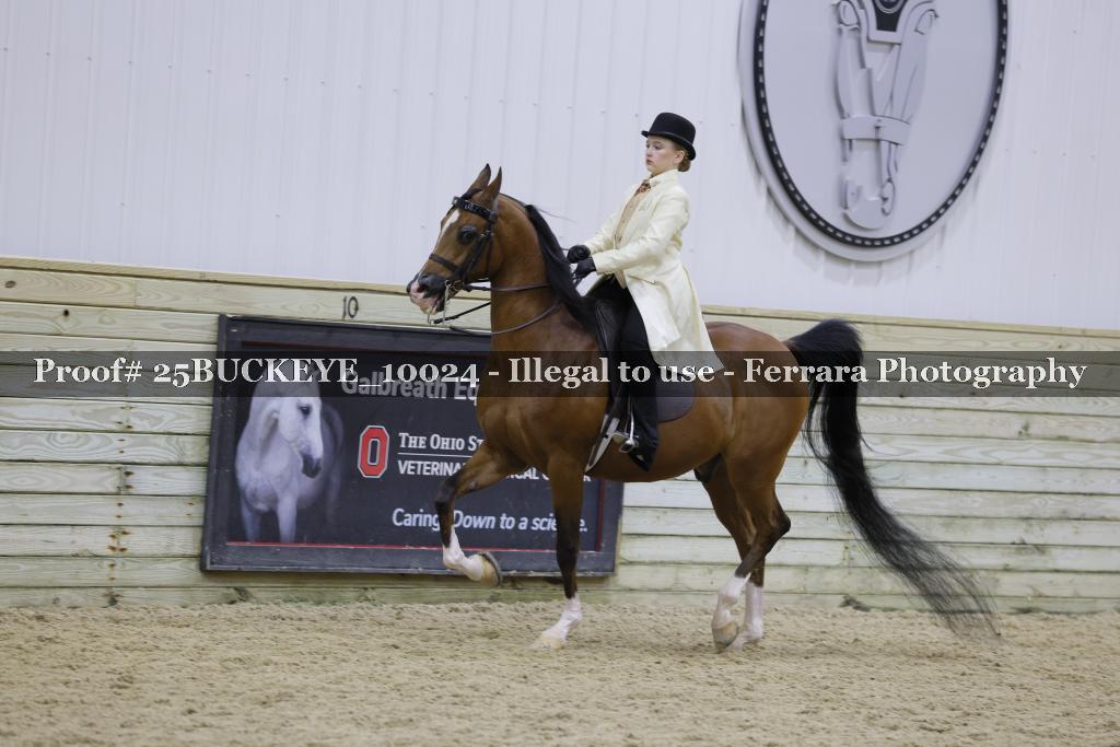 Proof Number 25BUCKEYE_10024