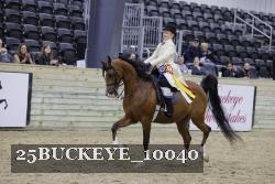 25BUCKEYE_10040 thumbnail