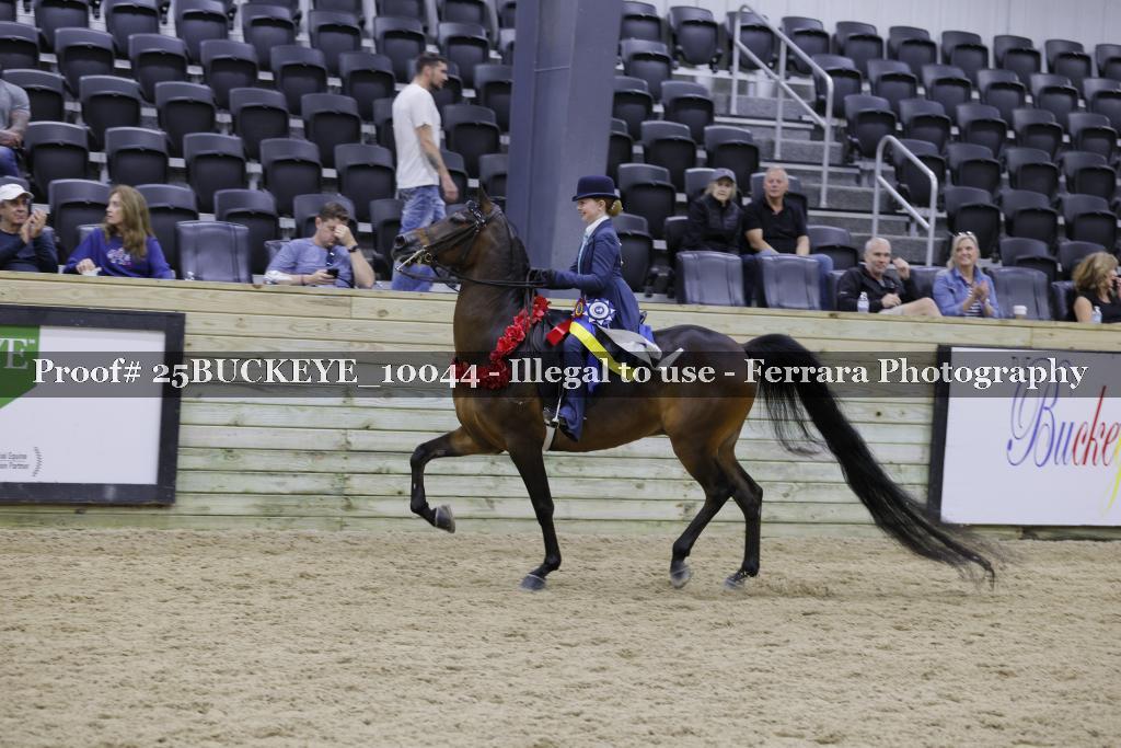 Proof Number 25BUCKEYE_10044