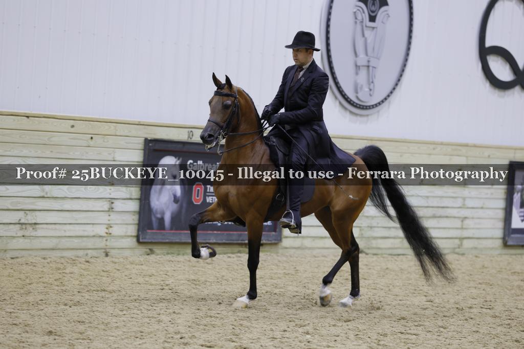 Proof Number 25BUCKEYE_10045