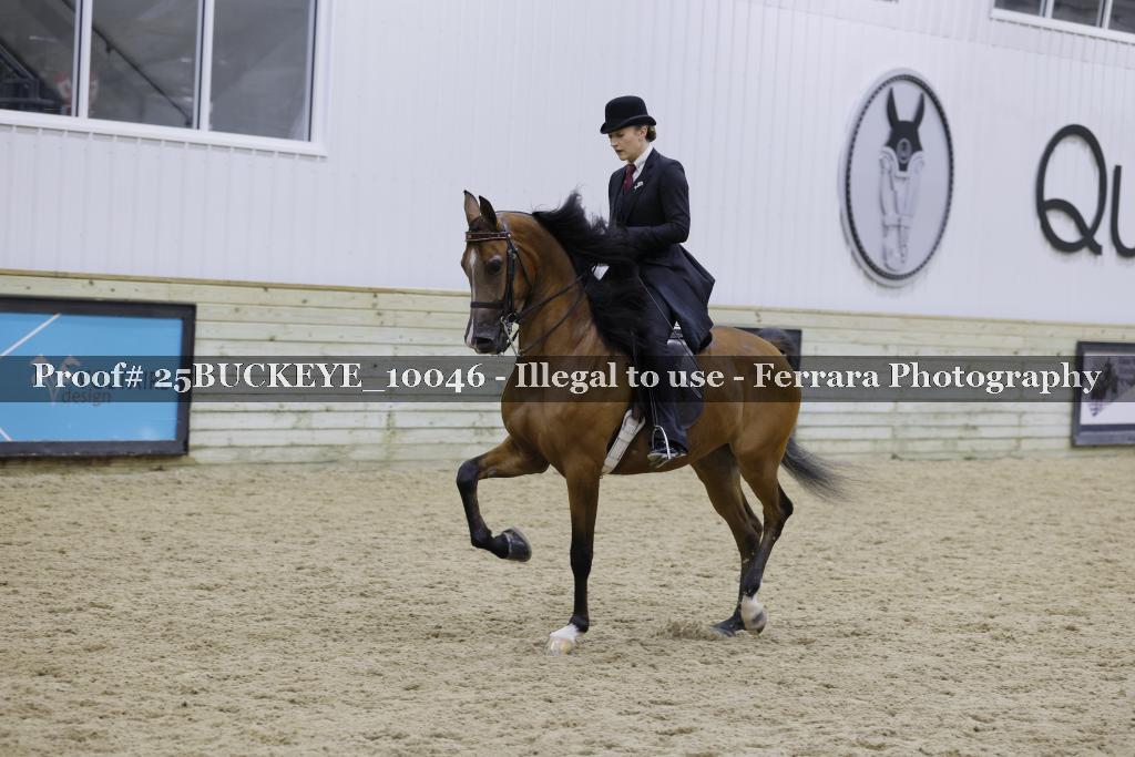 Proof Number 25BUCKEYE_10046