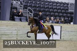 25BUCKEYE_10077 thumbnail