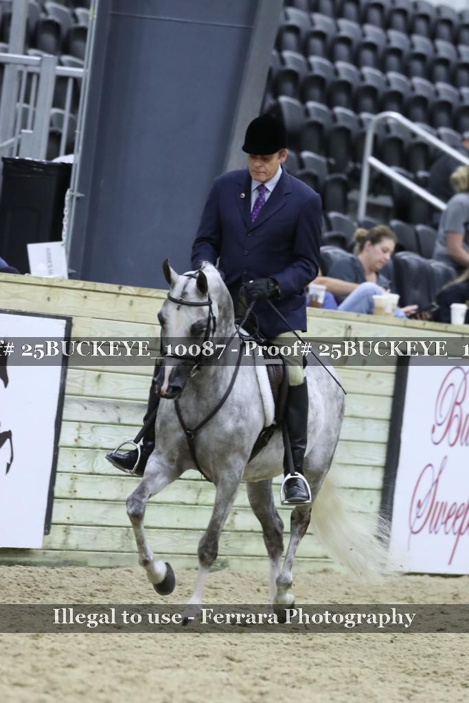 Proof Number 25BUCKEYE_10087