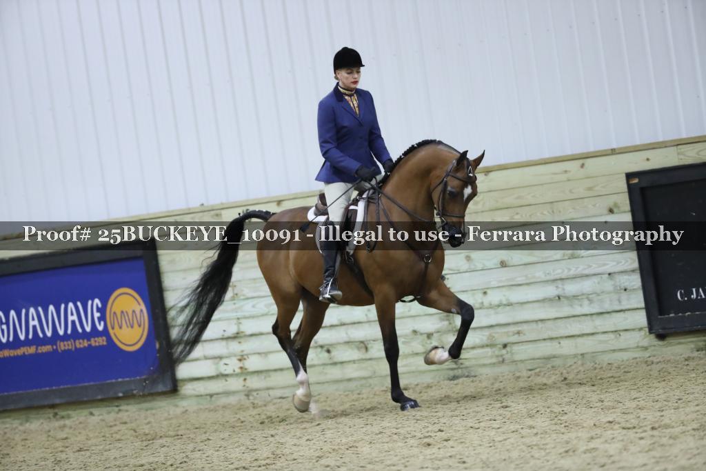 Proof Number 25BUCKEYE_10091