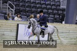 25BUCKEYE_10099 thumbnail