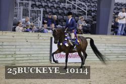 25BUCKEYE_10114 thumbnail