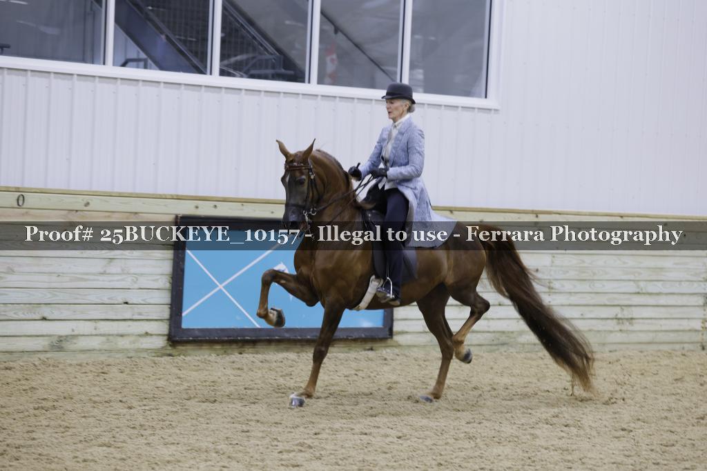 Proof Number 25BUCKEYE_10157