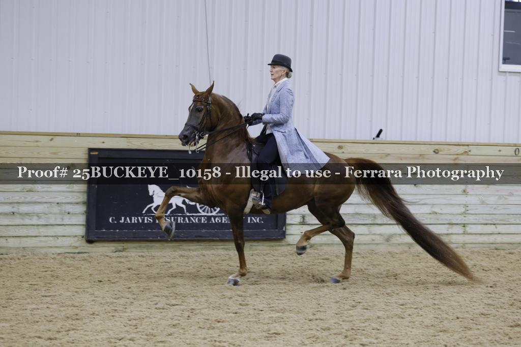 Proof Number 25BUCKEYE_10158