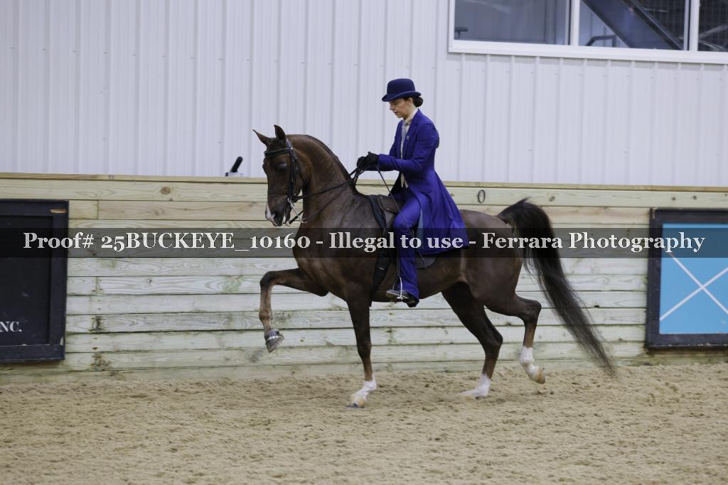 Proof Number 25BUCKEYE_10160