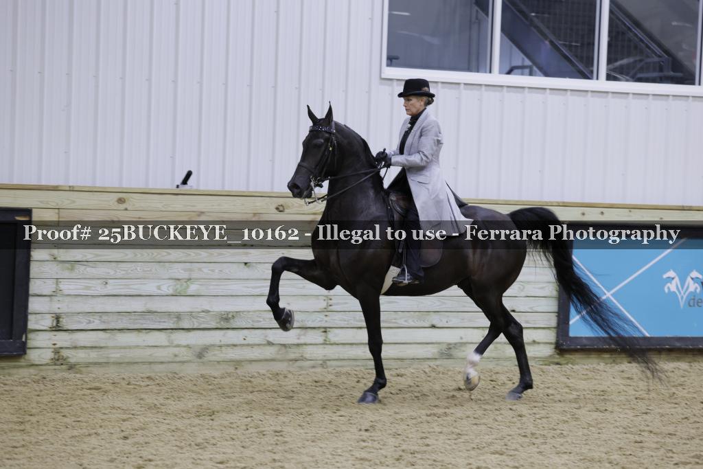Proof Number 25BUCKEYE_10162