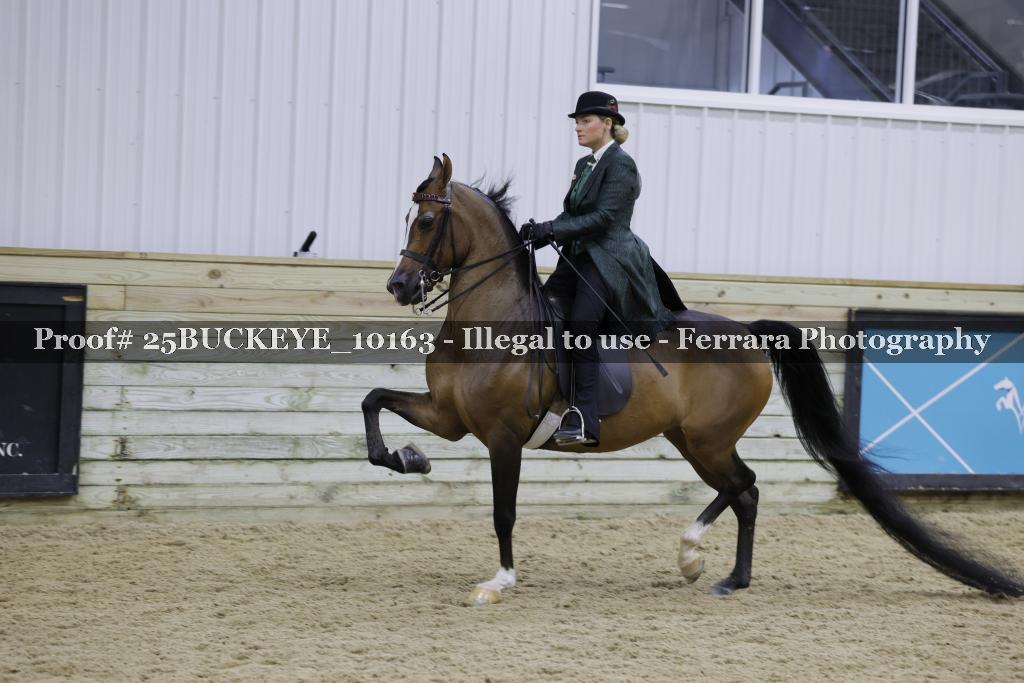 Proof Number 25BUCKEYE_10163