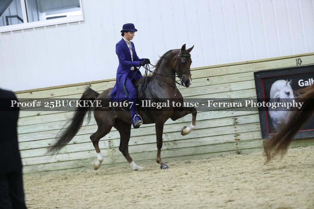 Proof Number 25BUCKEYE_10167