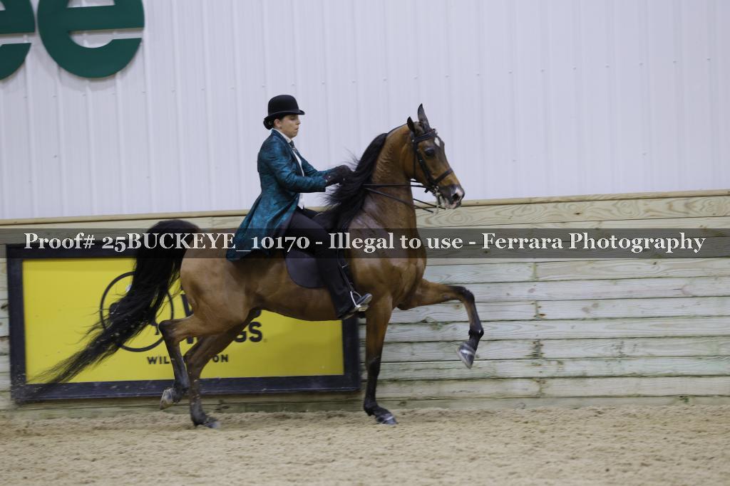 Proof Number 25BUCKEYE_10170