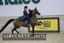 25BUCKEYE_10173 thumbnail