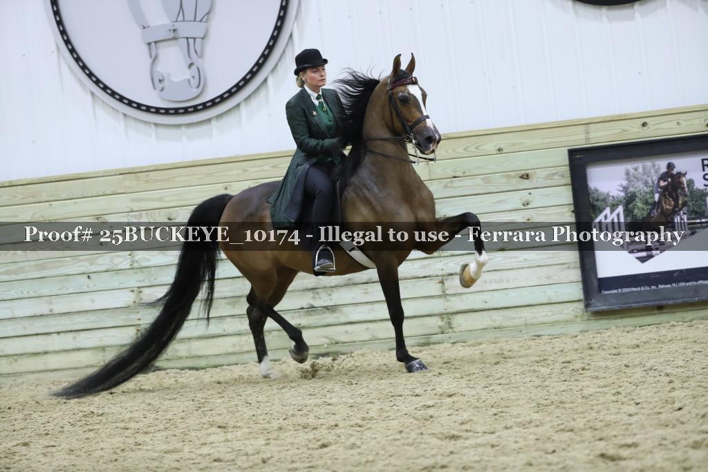 Proof Number 25BUCKEYE_10174