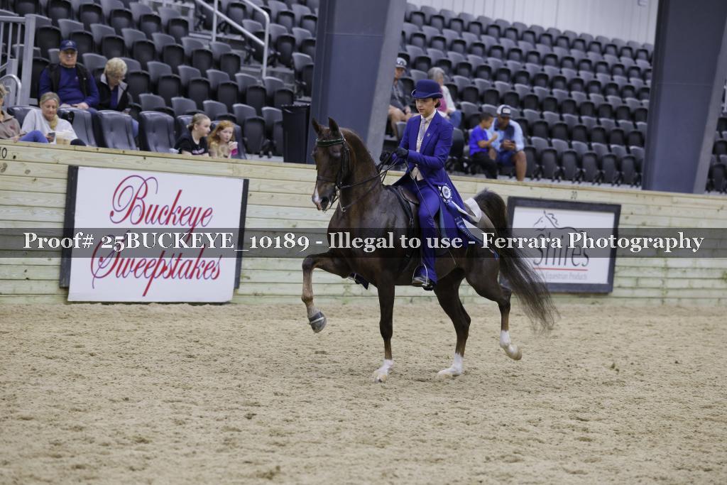 Proof Number 25BUCKEYE_10189
