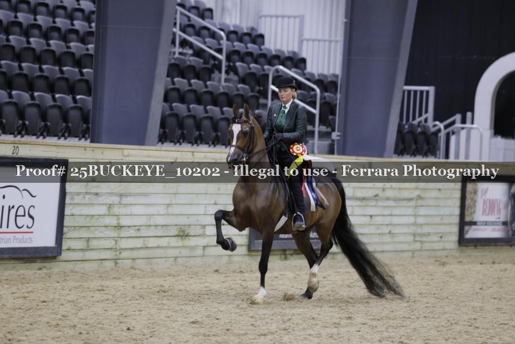 Proof Number 25BUCKEYE_10202