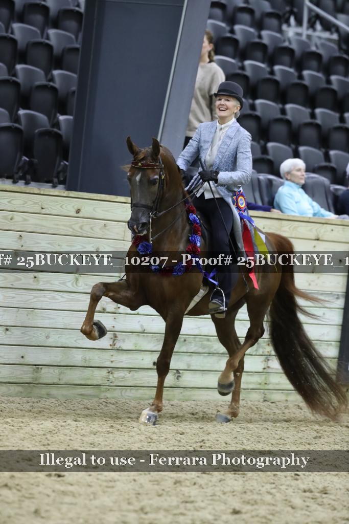 Proof Number 25BUCKEYE_10207